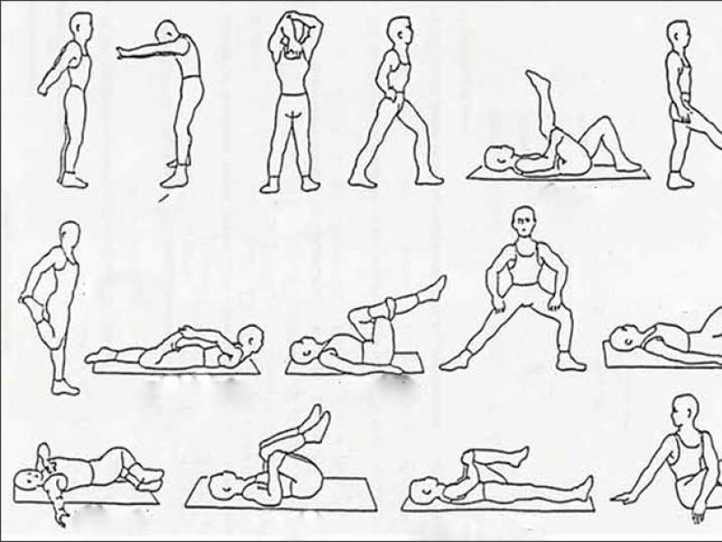 Растяжка ног и спины: упражнения для новичков Занятия на гибкость и растяжку
